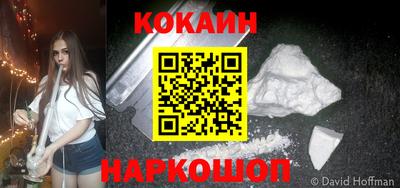 apvp Аша
