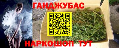 сатива Бердск